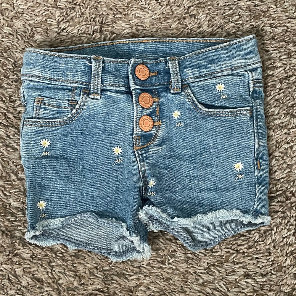 Denim Shorts with Floral Embroidery